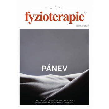 Obrázok pre Umění Fyzioterapie č. 11 - Pánev (časopis)